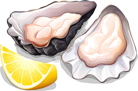 牡蛎热带绘画白色动物剪贴水果美食烹饪柠檬卡通片图片