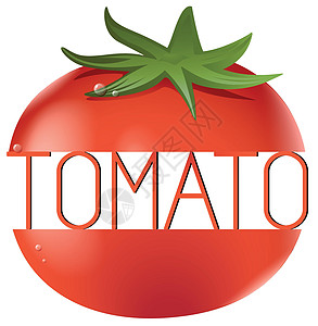 番茄蔬菜卡通片烹饪绘画食物措辞产品材料横幅海报背景图片