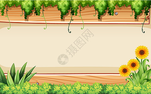 框架海报向日葵花朵墙纸绘画正方形木板绿色空白白色图片