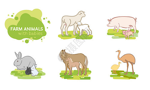 一组农业动物的向量图片