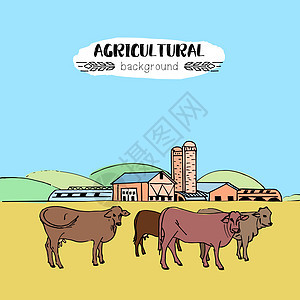 有母牛的农业农场图片