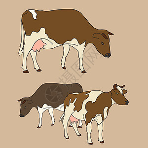 奶牛在素描样式中的插图图片