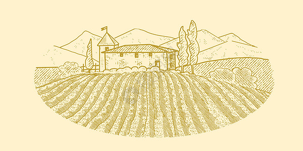 有葡萄园的农村房子种植园收成藤蔓村庄栽培酒厂插图土地爬坡地平线图片