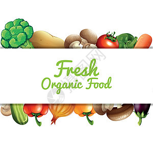 各种蔬菜海报绘画艺术黄瓜营养绿色土豆低热量水果饮食图片