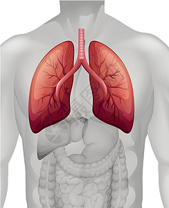 人类肺癌图图片