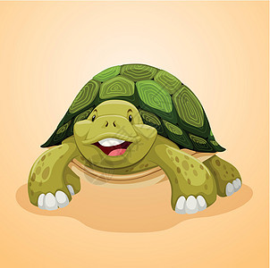 可爱的绿海龟微笑图片