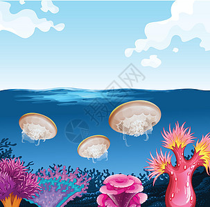 水母在海洋中游泳图片