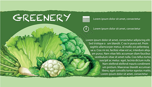 绿色蔬菜与 tex图片