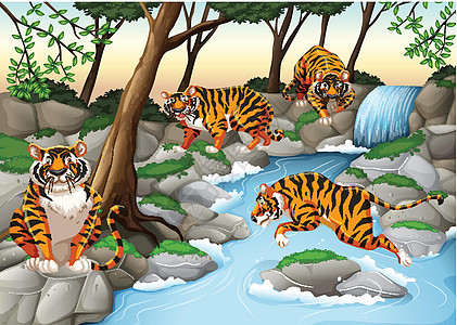 四只老虎住在河边图片