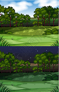 与领域和树的自然场面插图天空场地衬套环境绘画草地星星丛林绿色图片