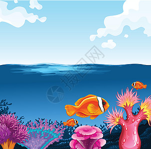 鱼儿在海里游异国情调艺术海蜇海滩野生动物夹子生物海洋珊瑚礁图片