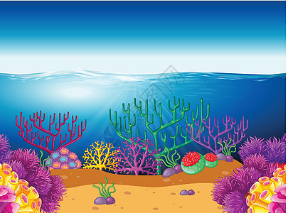 珊瑚礁在水下的自然场景图片
