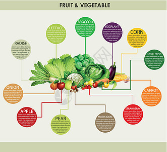 新鲜蔬菜和水果烹饪洋葱艺术食物低热量夹子萝卜插图玉米营养图片