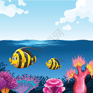 两条鱼在海面下游动图片