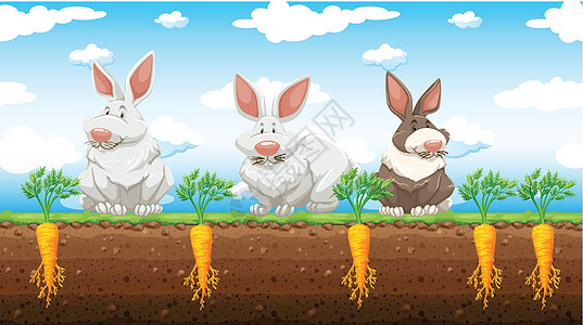 胡萝卜农场的三只兔子图片