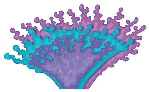紫色珊瑚图片