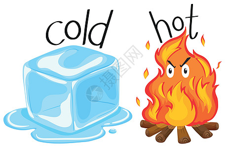 冷冰块和热冷杉图片