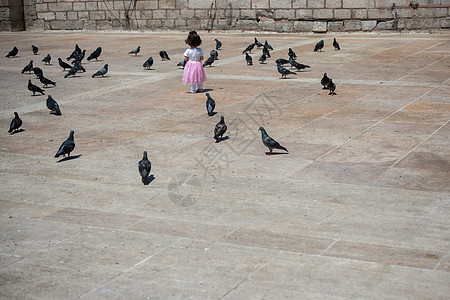 小女孩在饥渴的鸽子群中 在街上进食生存荒野存活飞行城市羽毛生活概念自由街道图片