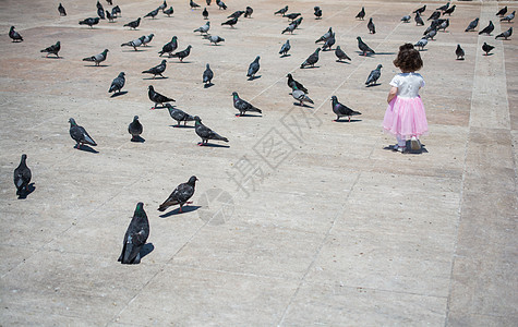 小女孩在饥渴的鸽子群中 在街上进食营养飞行羽毛孩子女孩生存野生动物翅膀斗争喷泉图片