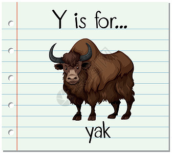 牛啊你抽认卡字母 Y 是给你的教育牦牛幼儿园夹子学习艺术刻字阅读插图纸板设计图片