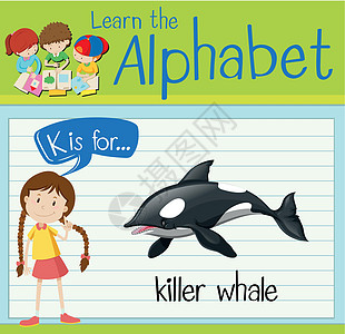 抽认卡字母 K 代表虎鲸动物学校夹子哺乳动物孩子们绿色艺术插图演讲活动图片