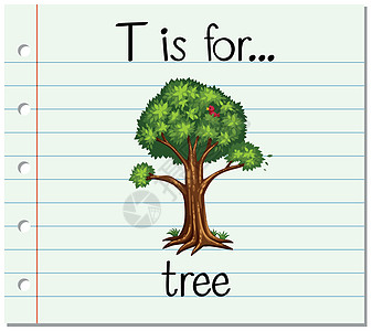 抽认卡字母 T 代表 tre阅读艺术卡片幼儿园教育性教育夹子闪光树叶写作图片