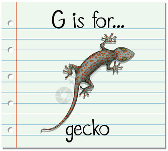 抽认卡字母 G 是 geck幼儿园纸板爬虫艺术刻字壁虎野生动物阅读生物夹子图片