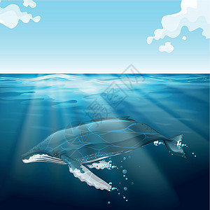 鲸鱼在蓝海下游弋图片