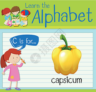 抽认卡字母 C 代表辣椒白色海报蔬菜夹子插图教育艺术学习孩子孩子们图片