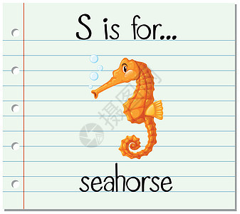 抽认卡字母 S 是给海马的闪光写作教育刻字哺乳动物阅读英语拼写艺术小号图片