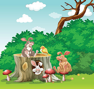 花园里的兔子和鸟公园插图夹子野生动物艺术野兔生物风景动物绘画图片