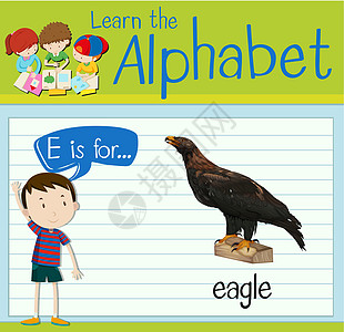 抽认卡字母 E 代表老鹰演讲羽毛学校学习夹子动物野生动物绘画活动孩子图片