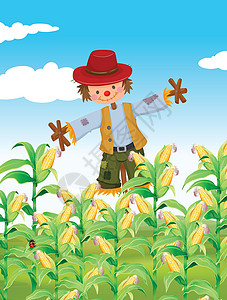 站在玉米地里的稻草人图片