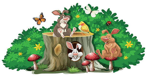 前卫的兔子和虫子背景图片