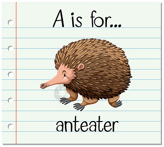 抽认卡字母 A 代表食蚁兽幼儿园插图字体阅读濒危刻字写作绘画动物闪光图片