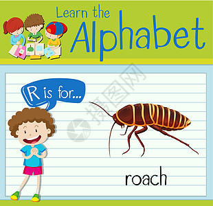 抽认卡字母 R 代表 roac绘画绿色海报插图孩子漏洞教育生物活动孩子们图片