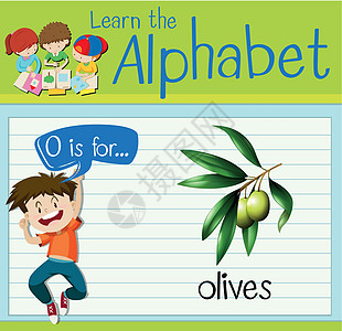 抽认卡字母 O 代表橄榄树叶水果蔬菜插图食物孩子白色学校教育卡片图片