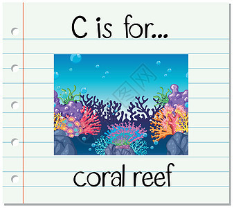 抽认卡字母 C 代表珊瑚礁图片