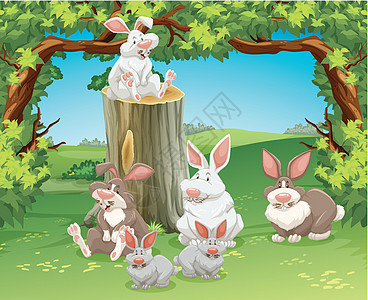六只兔子在花园里图片