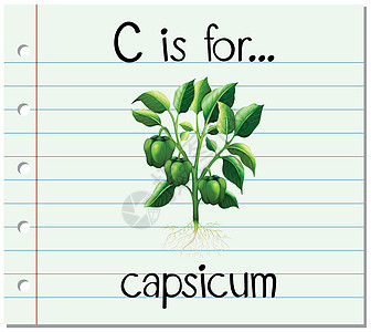 抽认卡字母 C 代表辣椒插图闪光教育写作夹子阅读纸板绘画字体食物图片