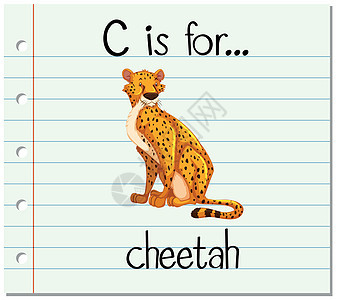 抽认卡字母 C 代表猎豹动物阅读哺乳动物幼儿园卡片教育老虎热带生物卡通片图片