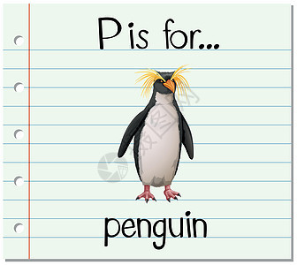 抽认卡字母 P 代表企鹅闪光纸板卡片教育绘画幼儿园字体阅读野生动物艺术图片