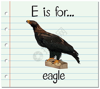 抽认卡字母 E 代表老鹰动物绘画幼儿园羽毛拼写阅读捕食者夹子字体写作图片