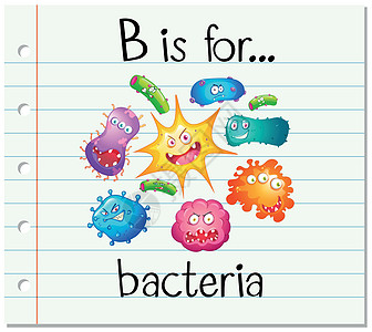 抽认卡字母 B 是细菌怪物卡片刻字字体插图生物夹子教育疾病科学图片