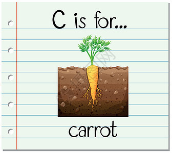 抽认卡字母 c 代表胡萝卜图片