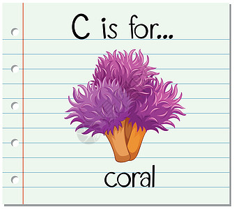 抽认卡字母 C 代表 cora卡片写作拼写绘画植物字体阅读闪光幼儿园热带图片
