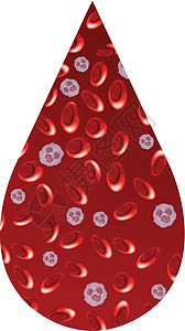 特写液滴中的红细胞图片