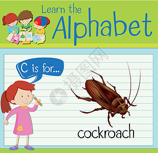 抽认卡字母 C 代表蟑螂活动学校漏洞卡片工作夹子野生动物热带绘画孩子图片