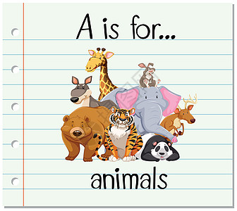 抽认卡字母 A 是动物袋鼠教学绘画教育拼写刻字幼儿园兔子老虎字体图片