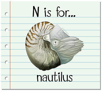 抽认卡字母 N 代表鹦鹉螺笔记本卡片热带阅读写作刻字孩子们拼写纸板记事本图片